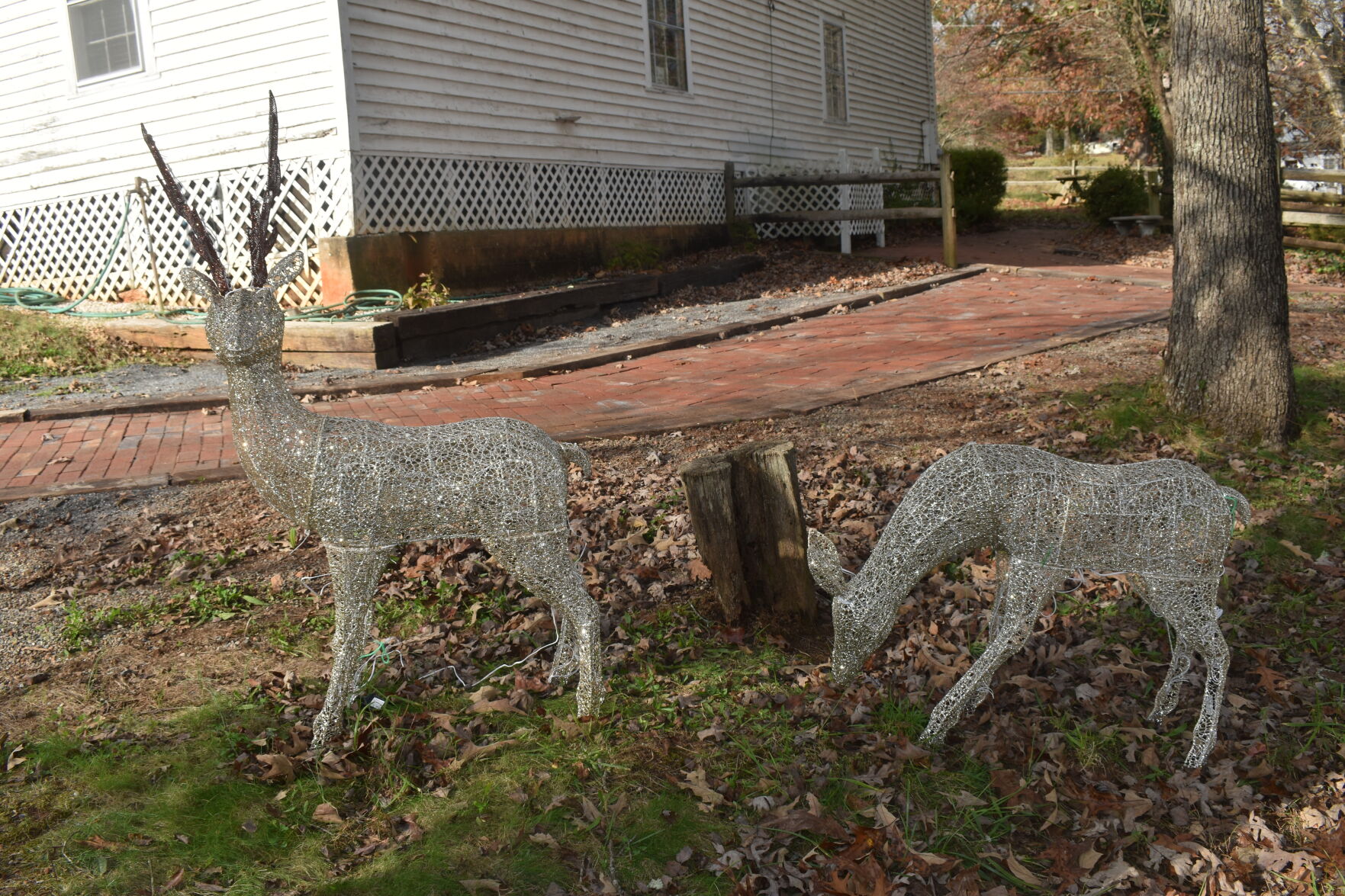 Hoppin nov. 19 (27).JPG